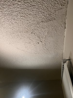 Water damage in ceiling