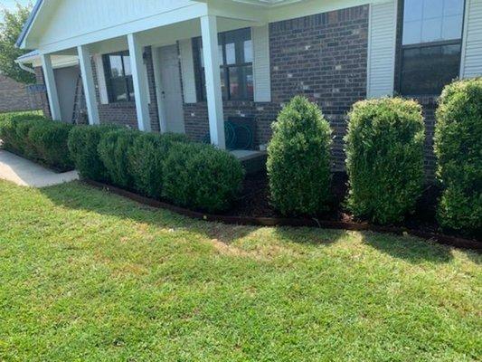 Mulch & Metal Edging