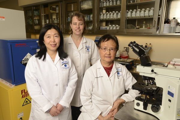 Lina Ma, MD (left), Karen Small, MD (center), and Thongzen Zhao, MD (right).