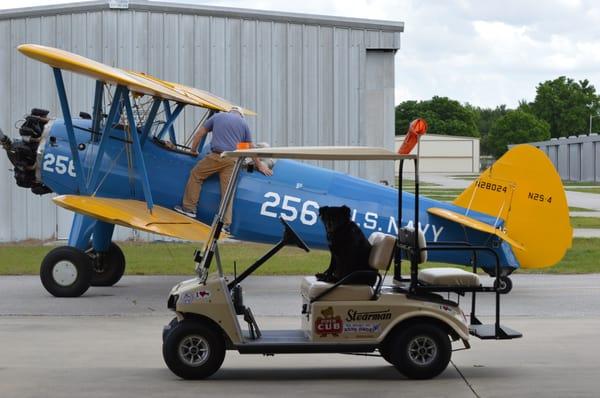 Rocket Dog on His golf cart, supervising someone getting a Stearman checkout