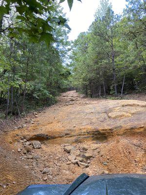 Rolling down the trails