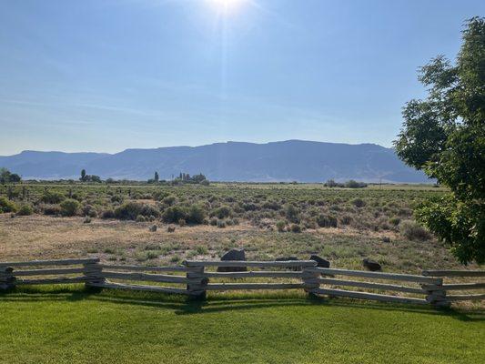 View from the side porch