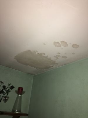 family room ceiling paint damage