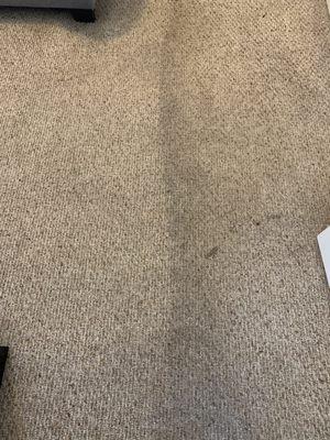 Before and after side by side comparison on carpet cleaning deep steaming