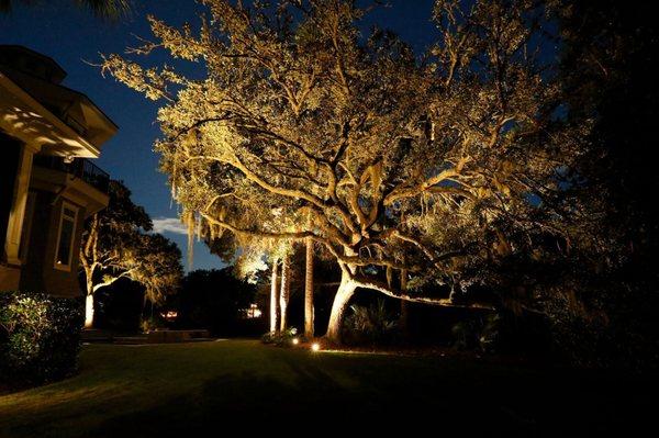 Charleston Legacy Oak Lighting