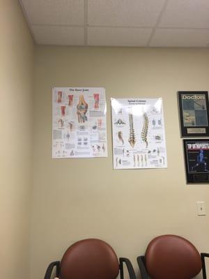 Orthopedic Specialist