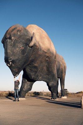 Biggest Buffalo Monument