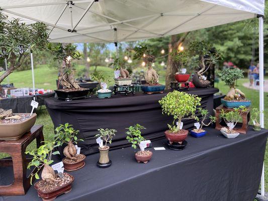 Display at Japanese Fall Festival