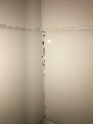 Mold in shower