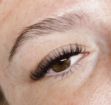 Volume Wispy Lash Extensions