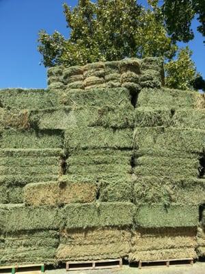 We sell Straw, Alfalfa & Bermuda Grass Hay