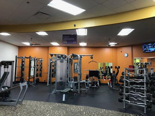 Free Weight Area including Squat / Bench / Deadlift Rack, Dumbbells up to 100 Ibs, Cable Machines, Leg press, Pre-Loaded barbells & More!