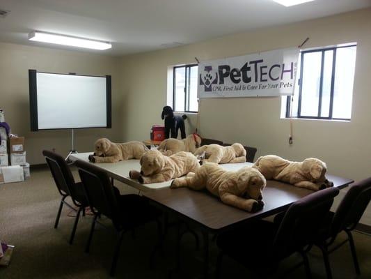 Pet C.A.R.E. Training