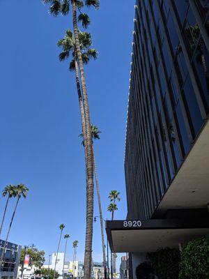 Centrally located on Wilshire and LaPeer in Beverly Hills in the large medical building... parking below.