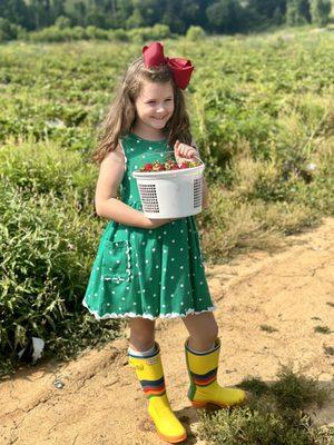 The fields are either muddy or dusty, so choose your footwear wisely.