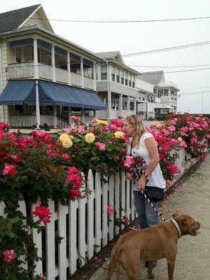 By The Shore