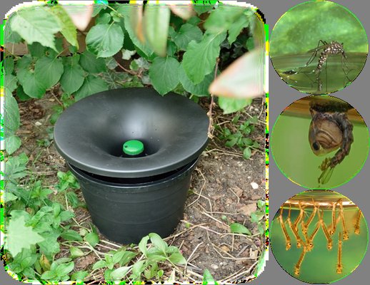 In2Care® Mosquito Trap