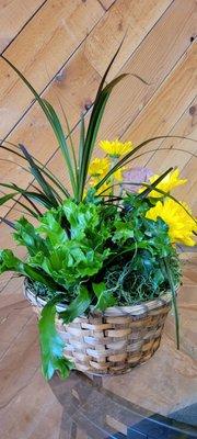 Blooming Plant basket