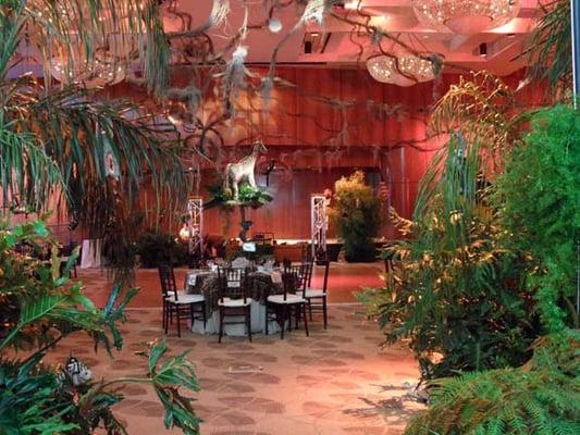 Jungle Bat Mitzvah