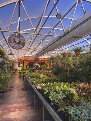 greenhouse!