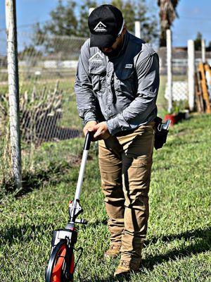 Termite Inspection