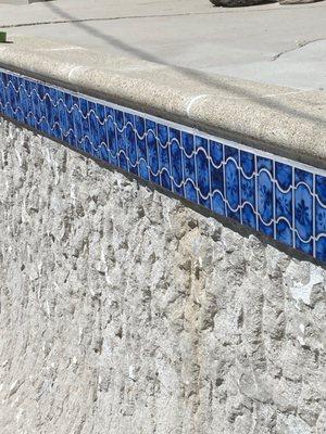 Botanical royal blue tile BUE-44