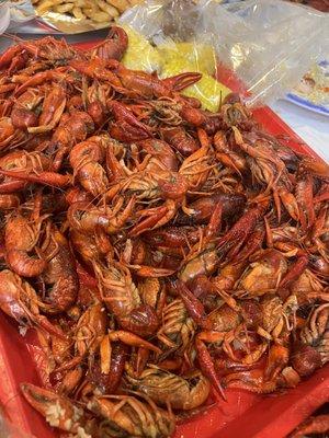 Live Boiled Crawfish