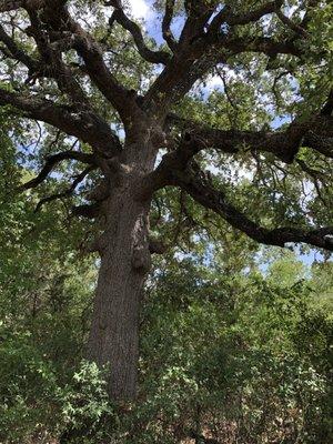 Land for sale Lockhart. Land for sale Lockhart. Land for sale Lockhart. Land for sale Lockhart. Land for sale Lockhart. Land for sale