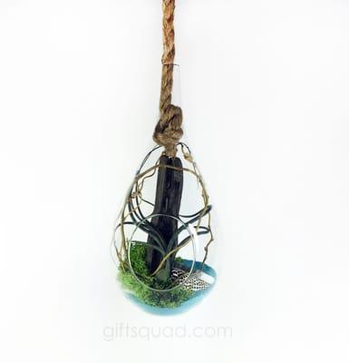 Terrariums are hand blown & accented w nautical rope. We fill them to order with Air Plants, sand, sea glass, shells and drift wood. 50.00