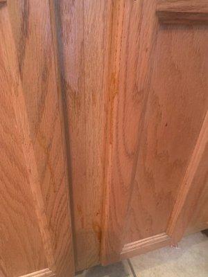 Food stains all over the kitchen cabinets upon move in