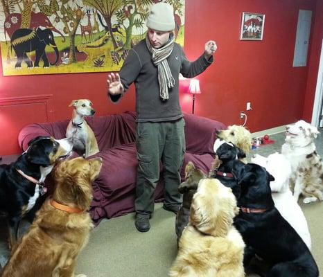 Dogs enjoying each others' company during the day while their owners are at work.