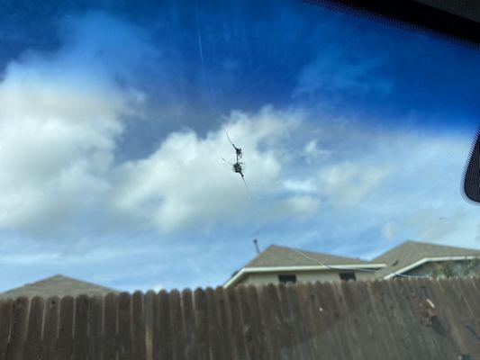 Alas poor Yorick, the damage to my original windshield.