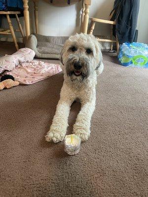 Rue happy birthday cupcake perfect size she loves it.