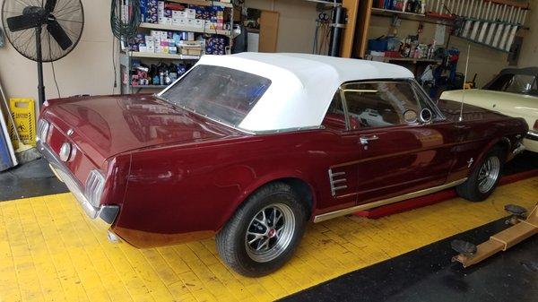 1966 MUSTANG