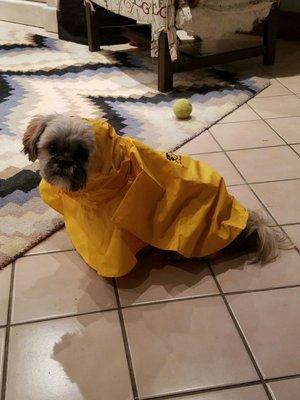 Another view of his raincoat