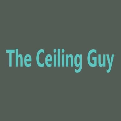 The Ceiling Guy