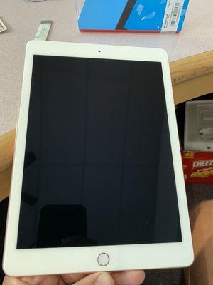 iPad Repairs