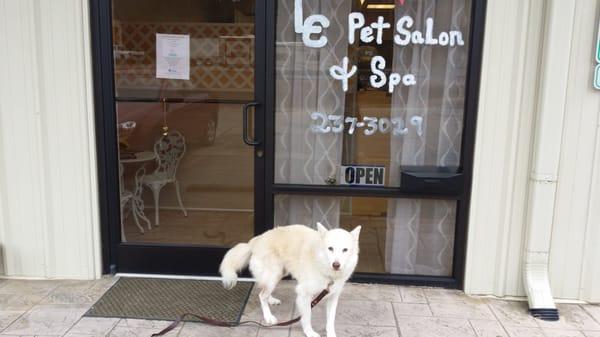 LC Pet Salon and Spa