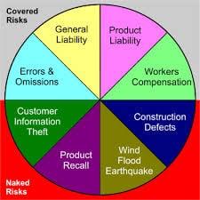 Captive Insurance Company