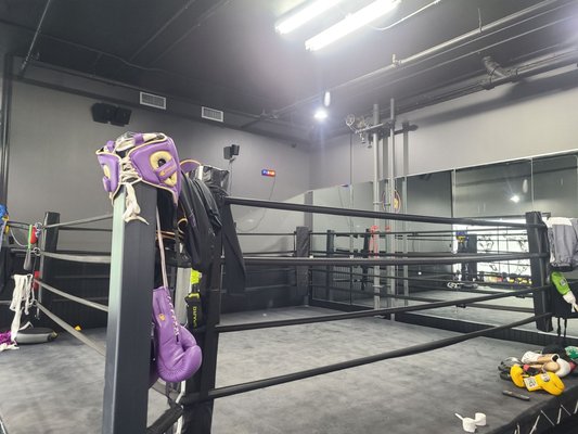 Indoor Boxing Ring