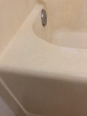 Bathtub not cleaned and hairs all over