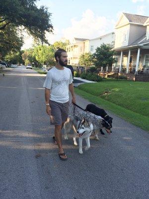 A good test to see how your dog is responding to you is to walk more than one dog at once.