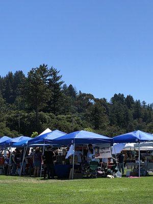 Santa Cruz Hop-N-Barley Beer Festival