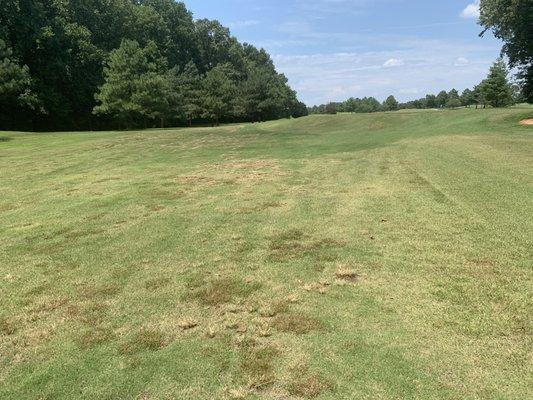 Green and fairway