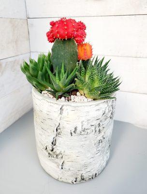 All succulent gardens are one of a kind and created in-house by us. They make the perfect gift for any occasion.