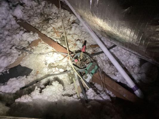 Exposed Junction box in attic.