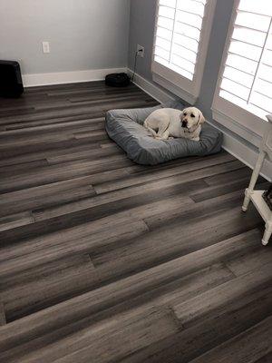 Bamboo wood floors