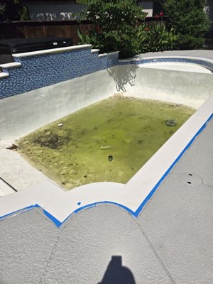 Pool emptied and left for 3 months, luckily didn't pop