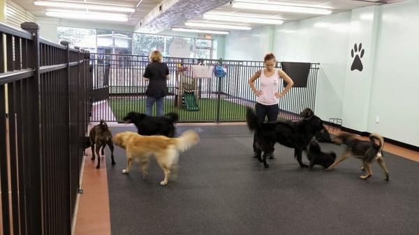 Daycare separated by size ..small play groups and a behaviorist on staff