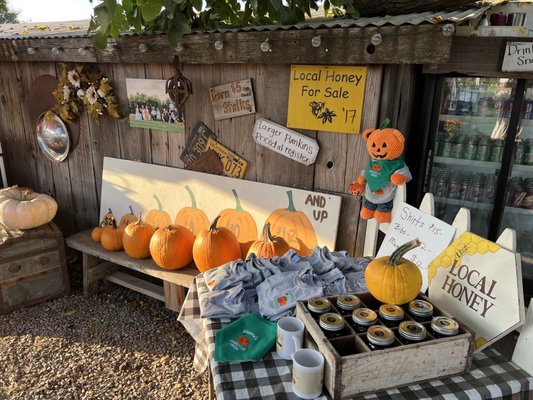 Pumpkin prices, very reasonable!